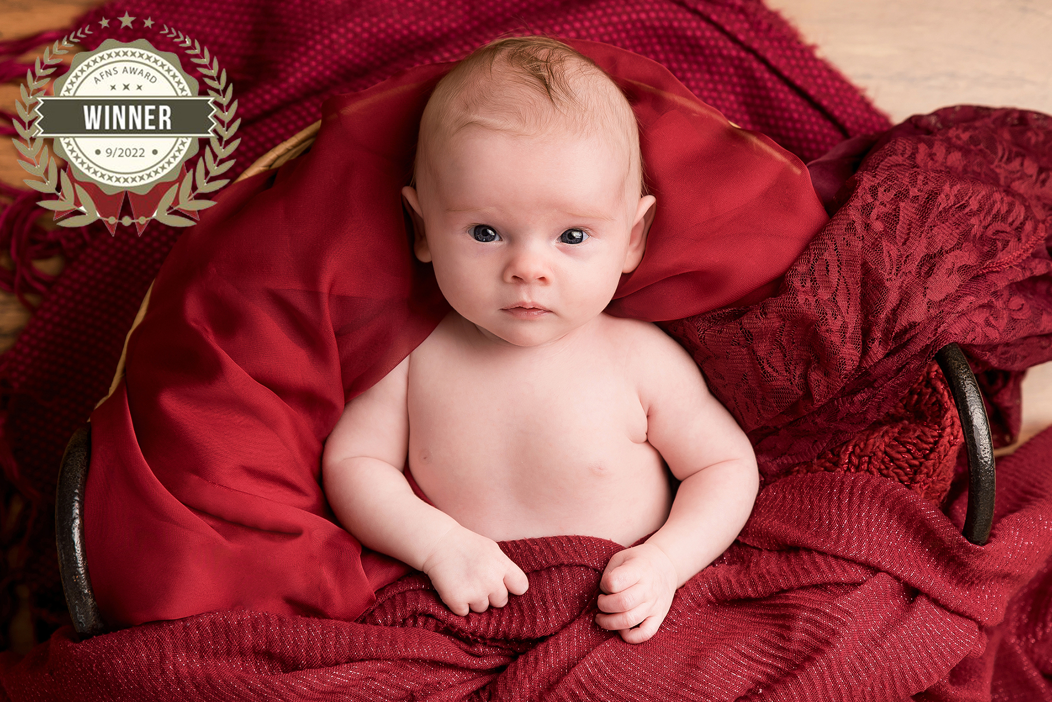 Photographe naissance bébé récompense studio Nantes
